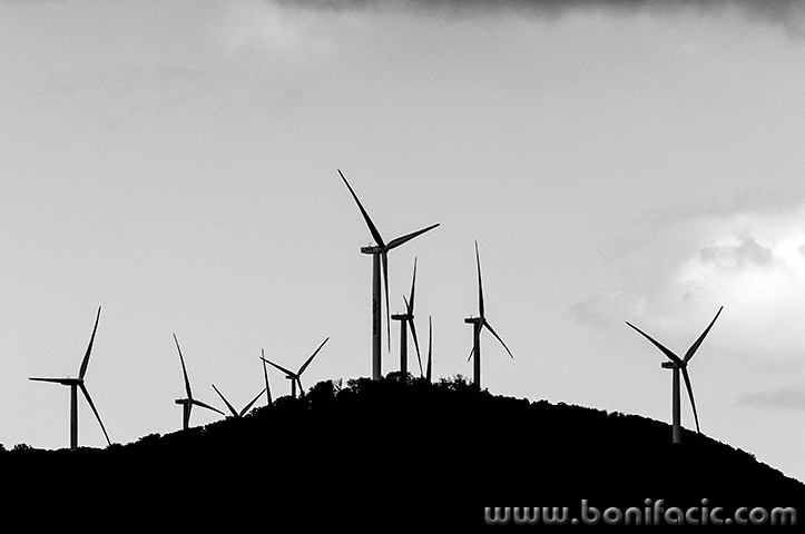 vratnikvjetrenicebw11mal