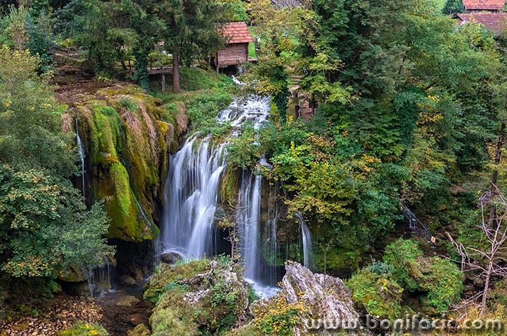 rastokefalls16mal