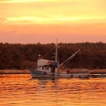 travel___Gonna Fishing___Punat, Croatia.