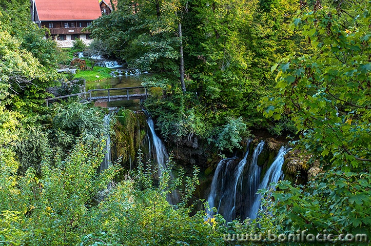 rastokefalls24mal