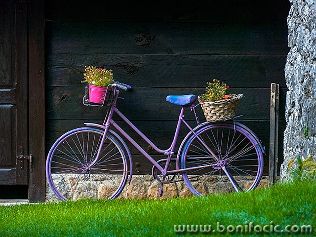 bicmlinrastoke1mal