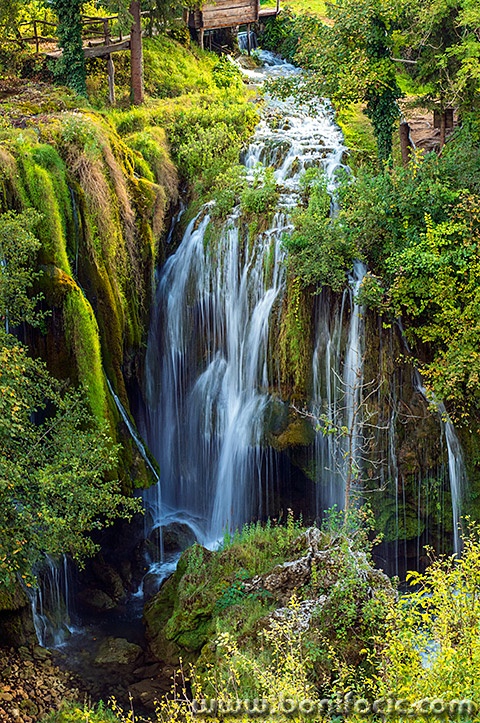 rastokefalls23mal