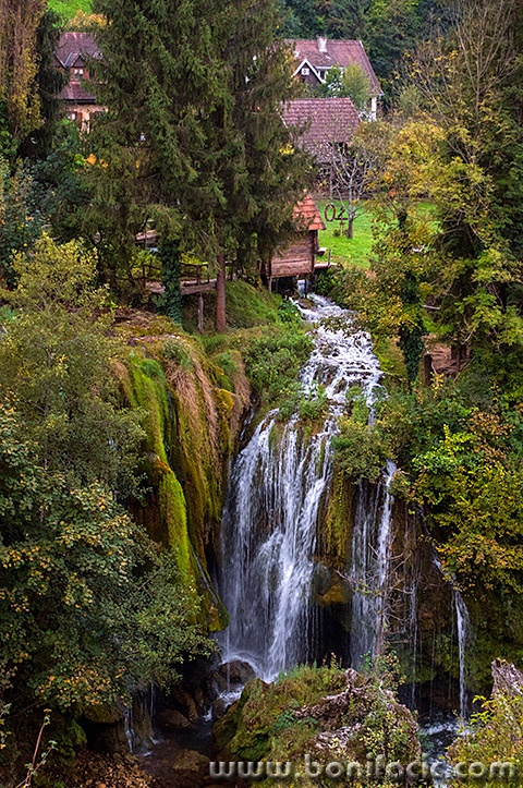 rastokefalls15mal