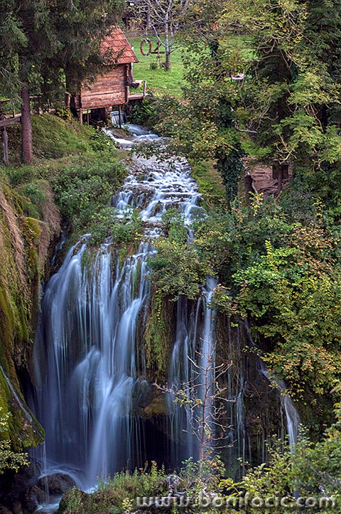 rastokefalls45mal
