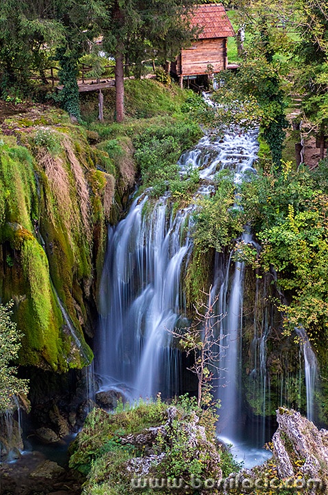 rastokefalls51mal