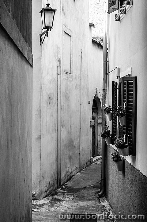 lovranstreetbw5mal