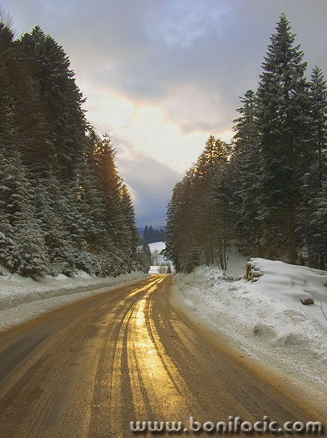 travel___Golden Way___Crni Lug, Croatia.