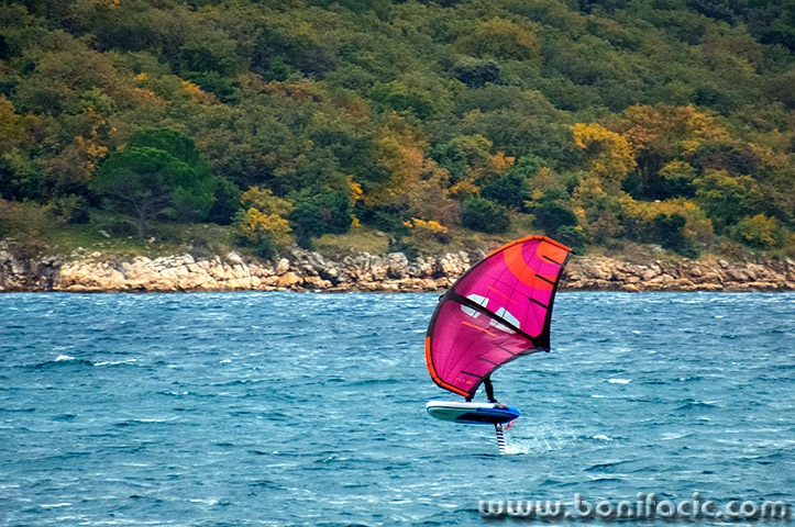 foil8mal