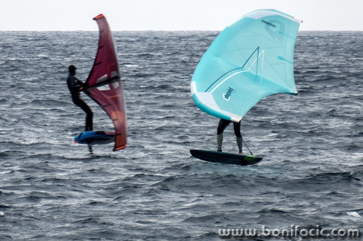 foil16mal