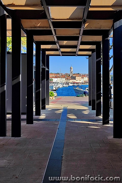 vejatrznica1mal