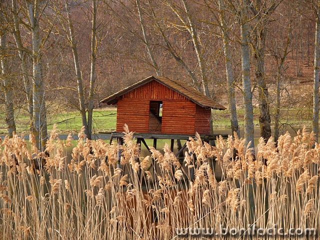 travel___Hiding___Svica, Croatia.