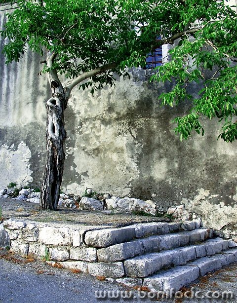 travel___In Front Of Church___Drivenik, Croatia.