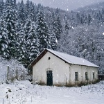 travel___In The Middle Of The Wood___Licka Jesenica, Croatia.