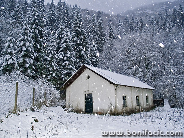 travel___In The Middle Of The Wood___Licka Jesenica, Croatia.