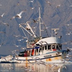 travel___Kremenik___Klenovica, Croatia.