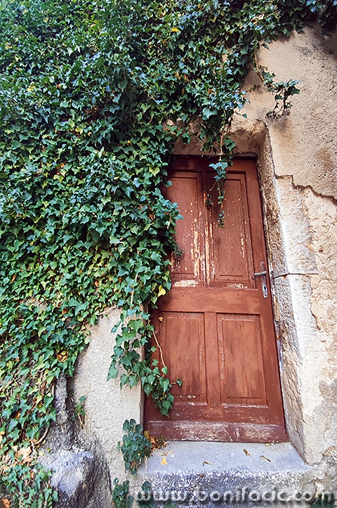 vratabrsljanvrbnik1mal