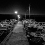 mulpodgusternunocbw1mal