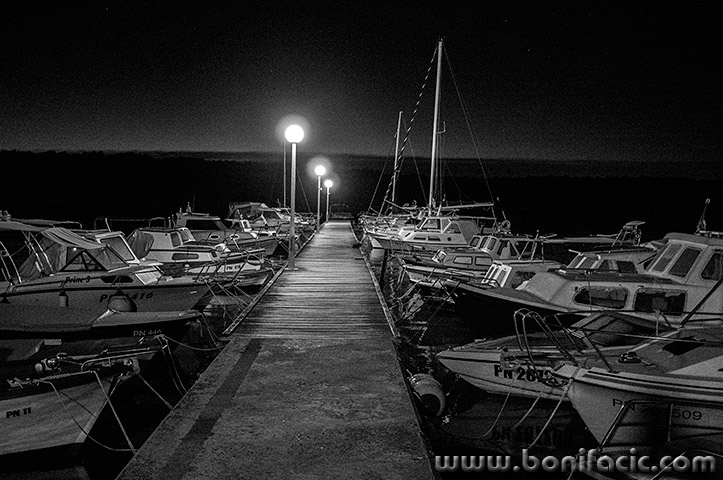 mulpodgusternunocbw1mal