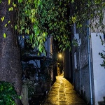 kolusinpokrivadaznoc1mal