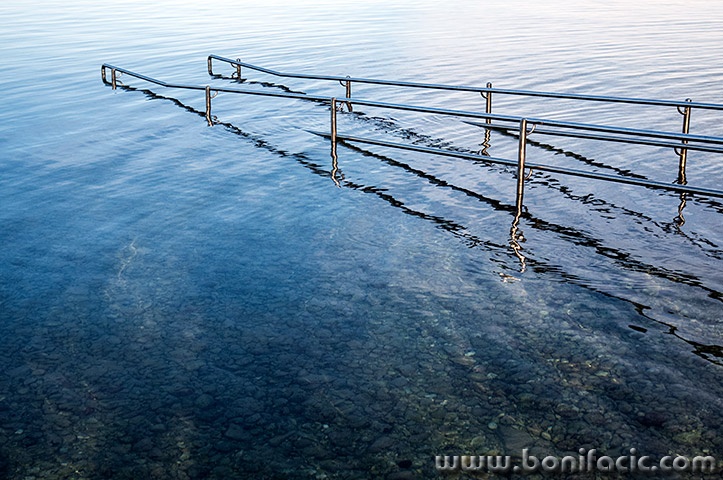 golubibukaskalemorebrule1mal