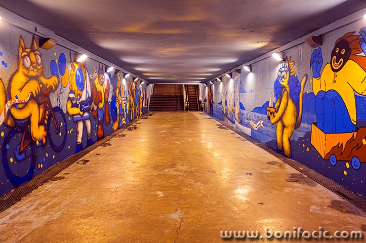 riplacaprolaznoc1mal