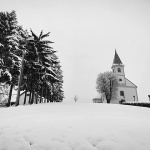 josipdolcrikvasnigbw1mal