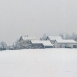 josipdollagersnigpano1mal