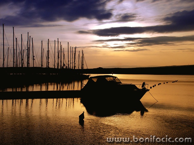 travel___Liquid Gold___Punat, Croatia.