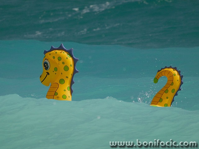 travel___Loch Ness Monster___Baska, Croatia.